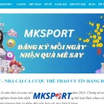 Tổng quan về thế giới cá cược MKsport